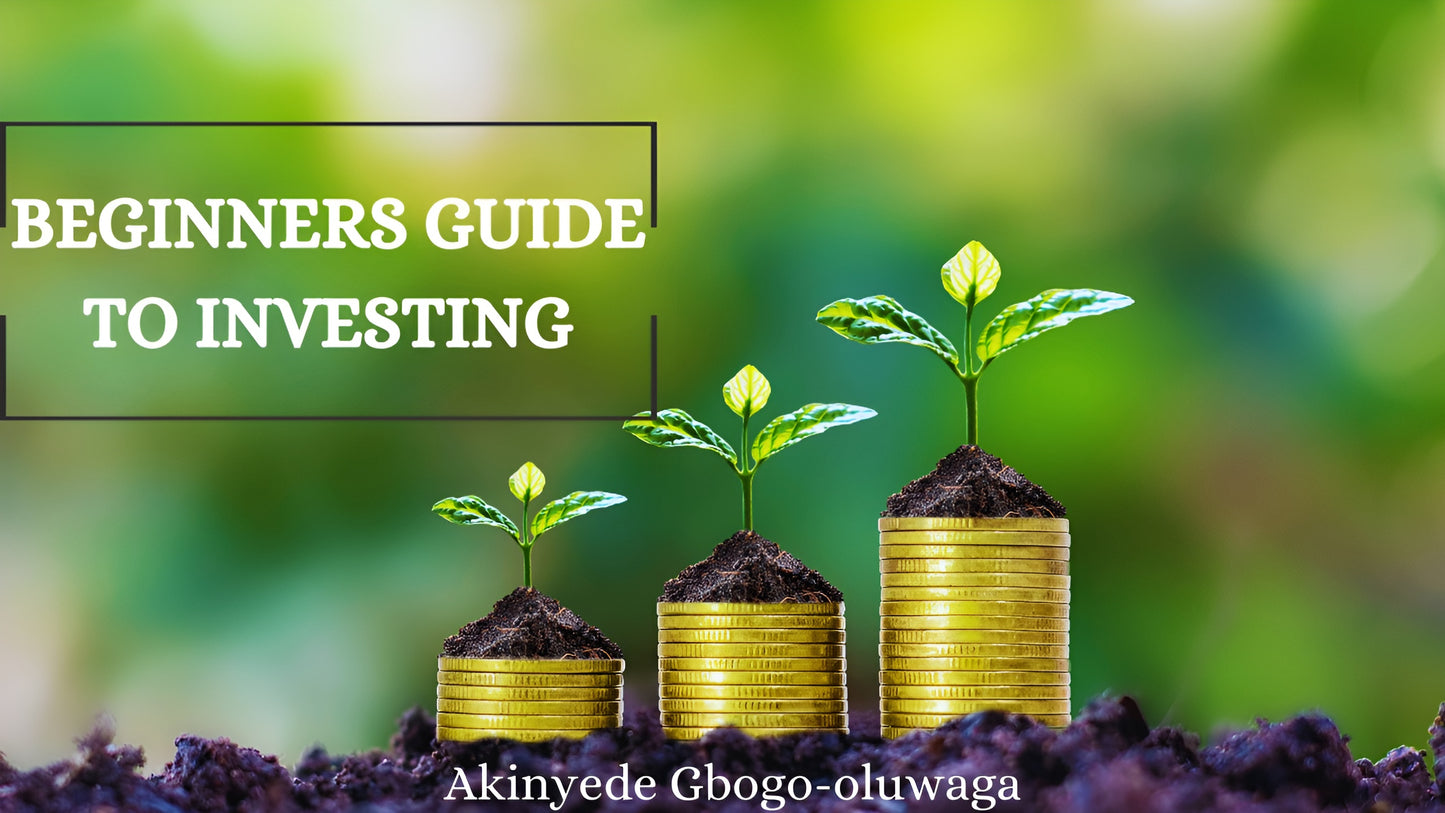 Beginners Guide to Investing: Simple Terms and Smart Strategies For Building Wealth